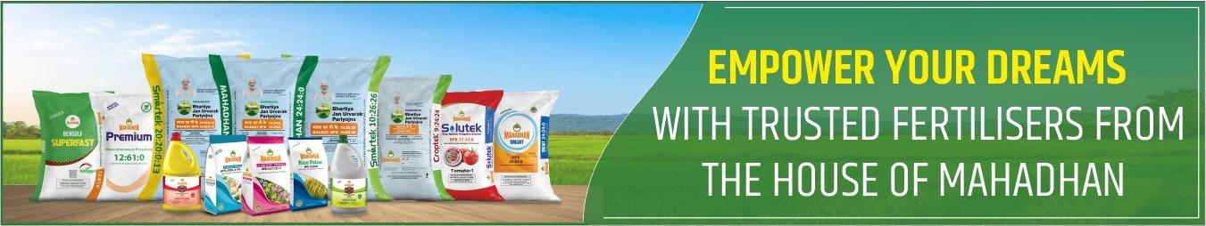 best water soluble fertilizer
